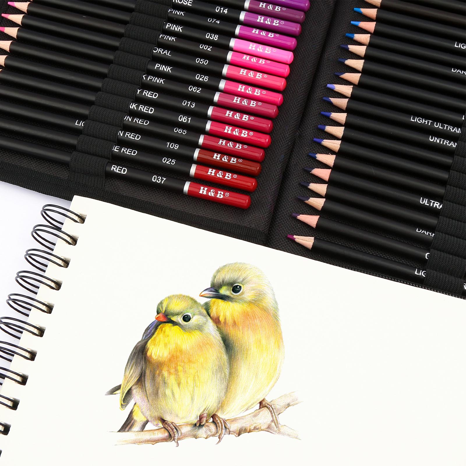 Sketching Charcoal Set - Skizzen-Kohlestifte Komplettset Premium Mehrfarbige Zeichenwerkzeuge für