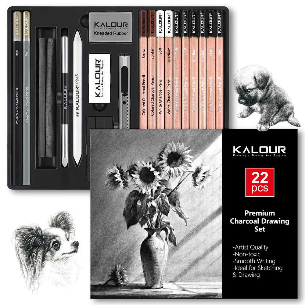 KALOUR 25/22-teiliges Skizzier – Sketching Charcoal Set Bewertung und Preis