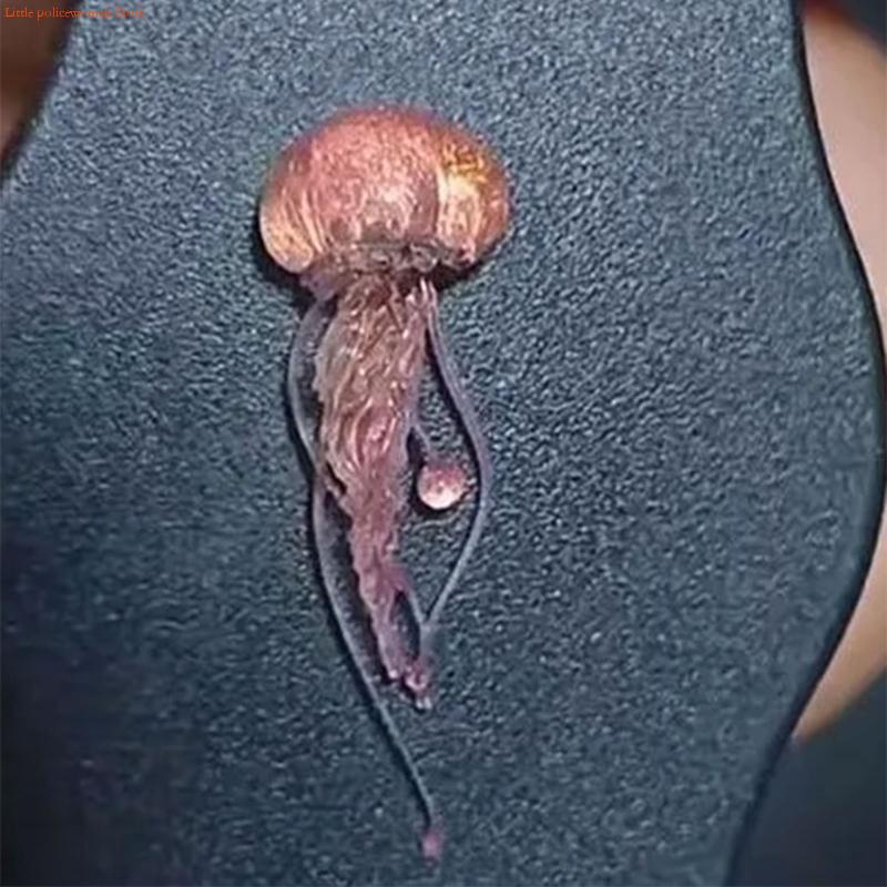 F92D Kreative Quallen art Form – Art Craft Jellyfish Bewertung und Preis