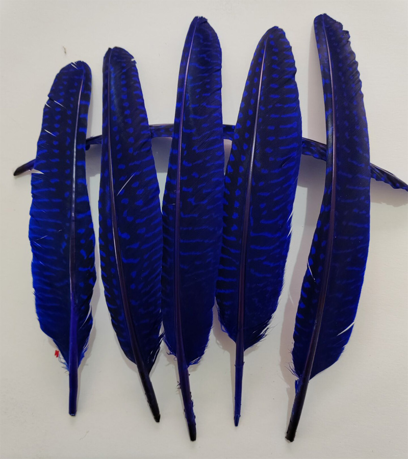 Federn! 100 Stück/Lot! 14-20 c – Art Quilling Craft Bewertung und Preis