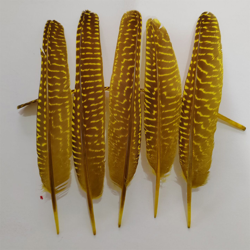 Federn! 100 Stück/Lot! 14-20 c – Art Quilling Craft Bewertung und Preis